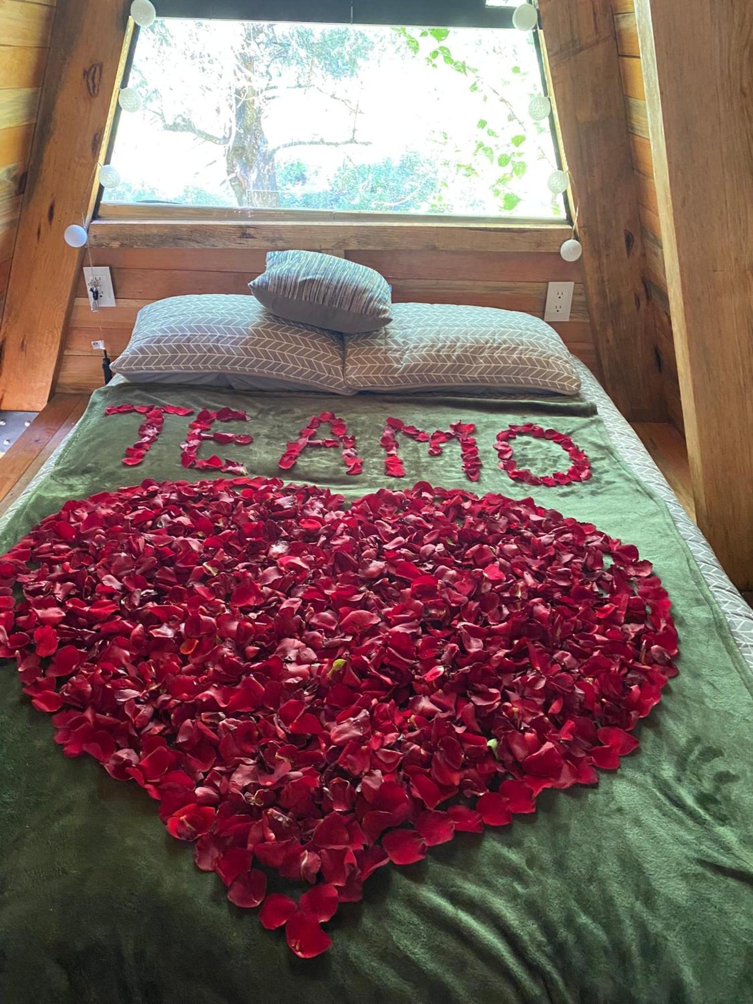 Cabanas Alpina, Romantica Y Acogedora A 10 Minutos Del Centro 테포츨란 외부 사진