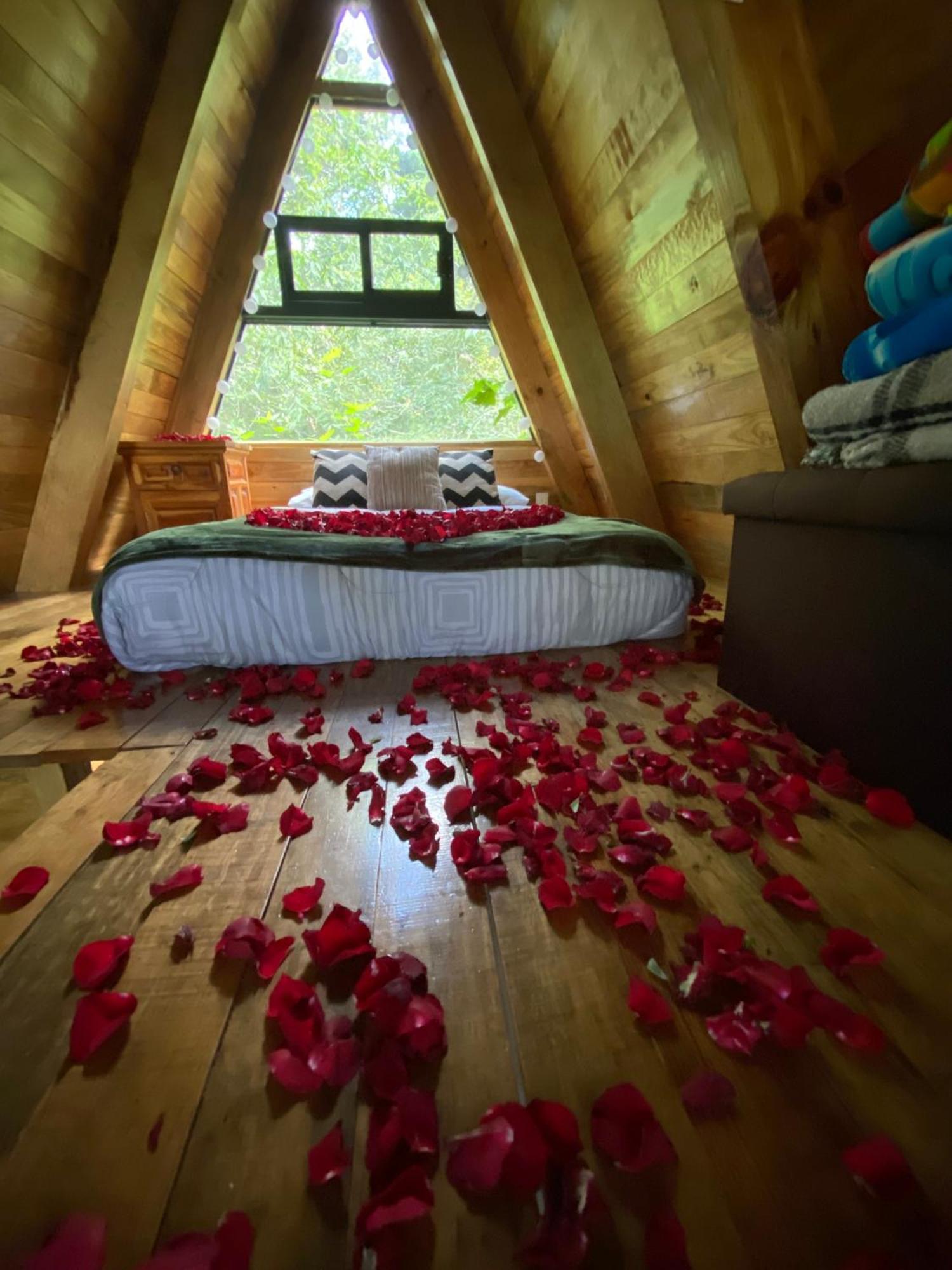 Cabanas Alpina, Romantica Y Acogedora A 10 Minutos Del Centro 테포츨란 외부 사진